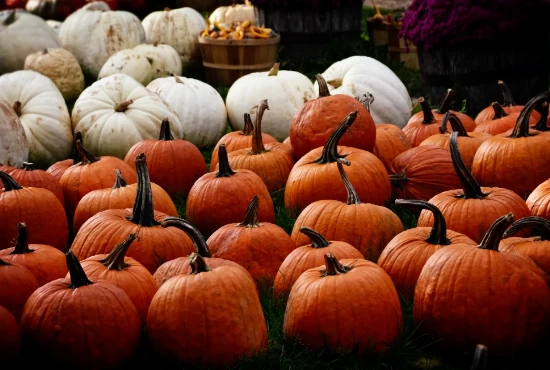 Events and Festivals in Marshalls Creek, PA: Celebrate with the Locals